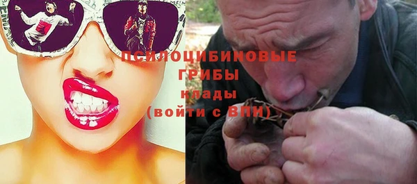 apvp Ельня