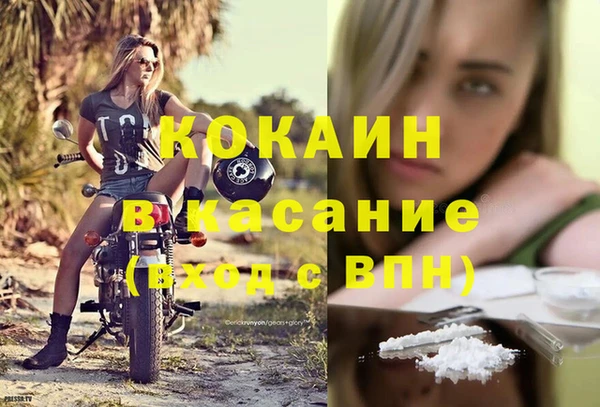 apvp Ельня