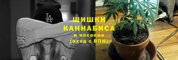 крисы Елабуга