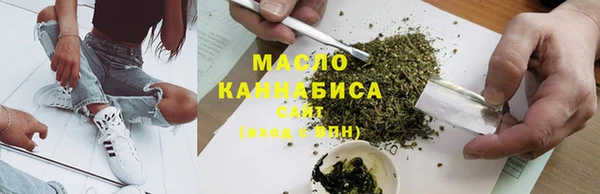 крисы Елабуга