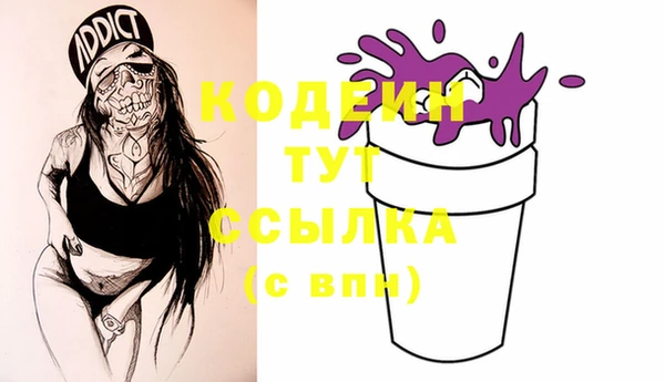 крисы Елабуга