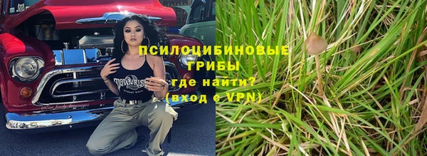 крисы Елабуга