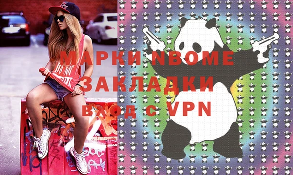 apvp Ельня