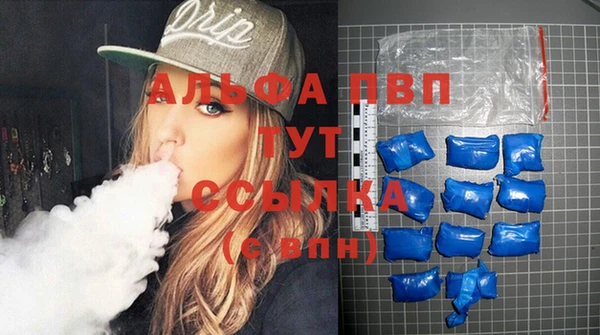 крисы Елабуга