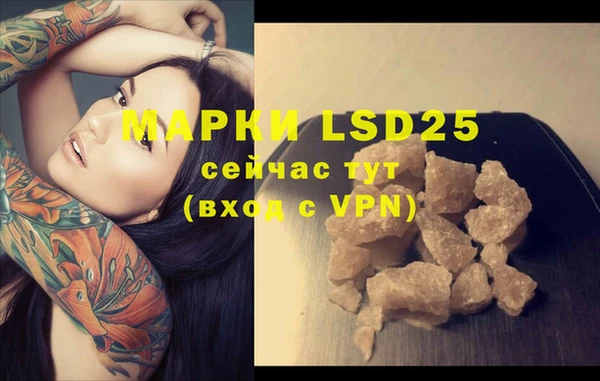 apvp Ельня