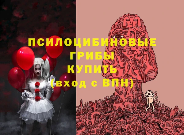 apvp Ельня