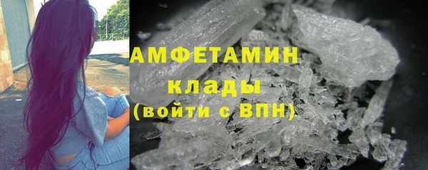 apvp Ельня