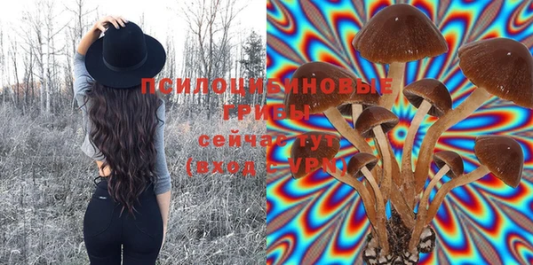крисы Елабуга