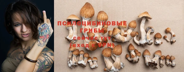 apvp Ельня