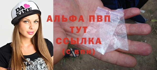 apvp Ельня