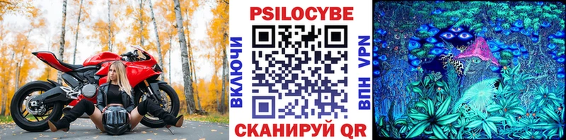 Галлюциногенные грибы Psilocybe  Заозёрск 